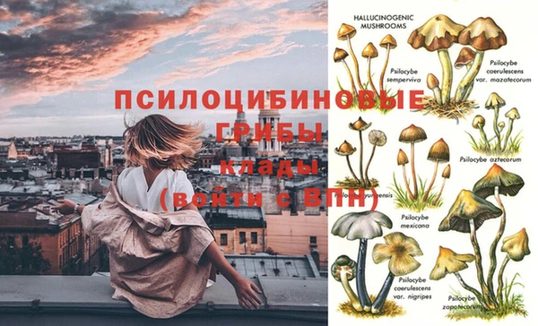 винт Сатка