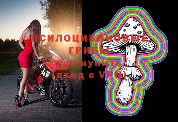 Альфа ПВП Сафоново