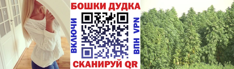 Марихуана план  что такое   Кулебаки 